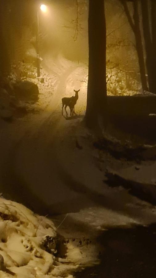 Willa Teatralna1 Piechowice Zewnętrze zdjęcie